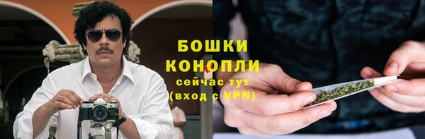 трава Бородино