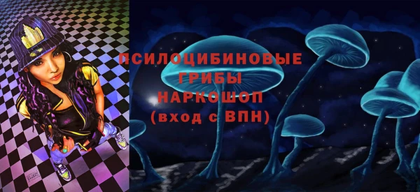 трава Бородино