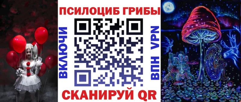 mega как зайти  где найти наркотики  Чита  Псилоцибиновые грибы Cubensis 